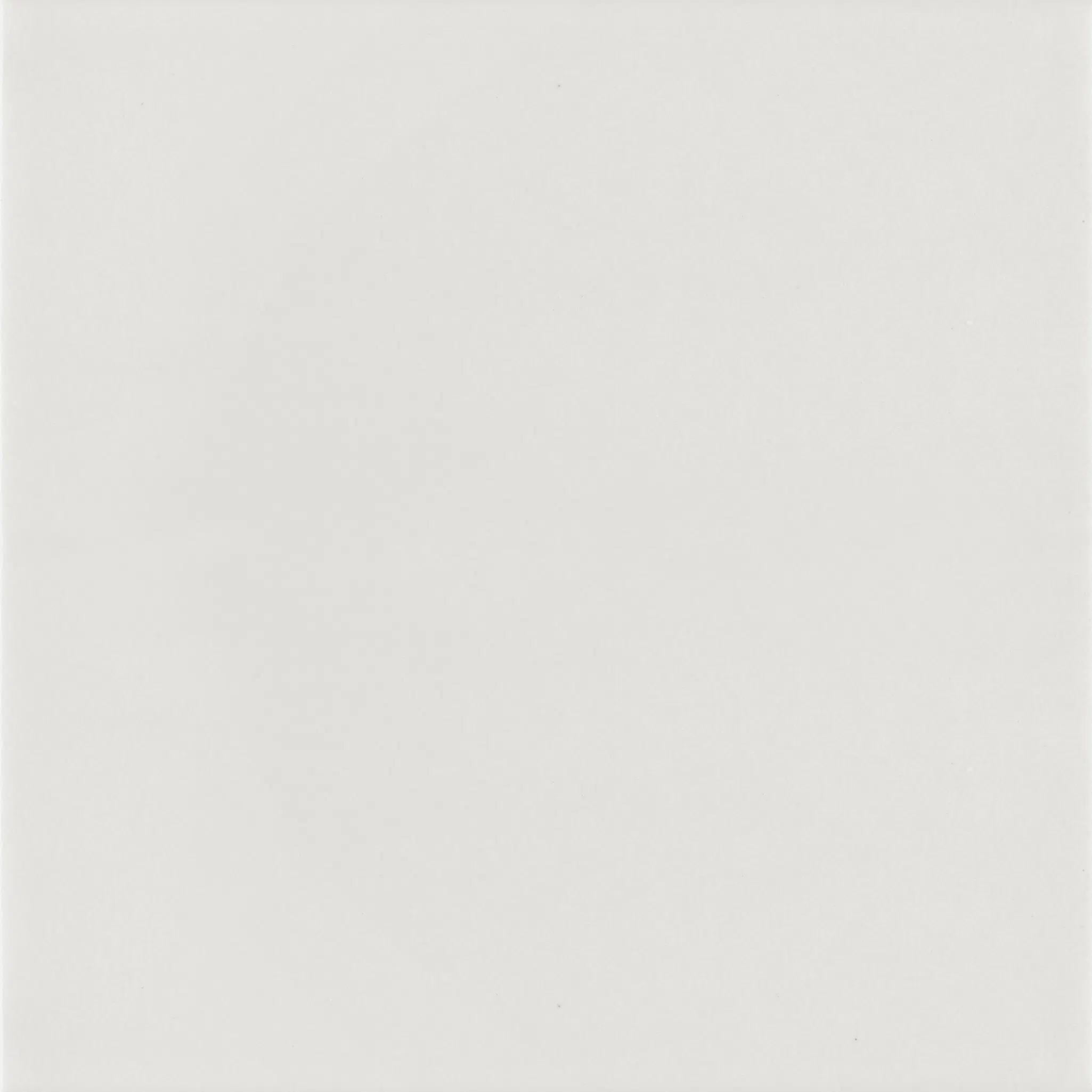 Pastelli Appiani_Pastelli_PST1009_Flat_10x10_Neve.jpg