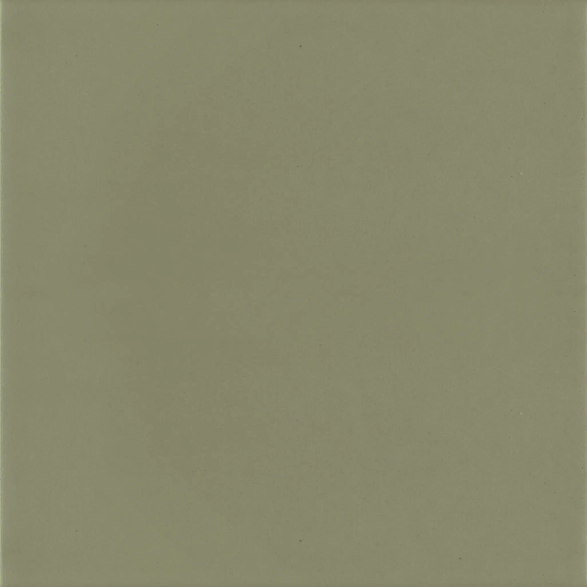 Pastelli Appiani_Pastelli_PST1012_Flat_10x10_Salvia.jpg
