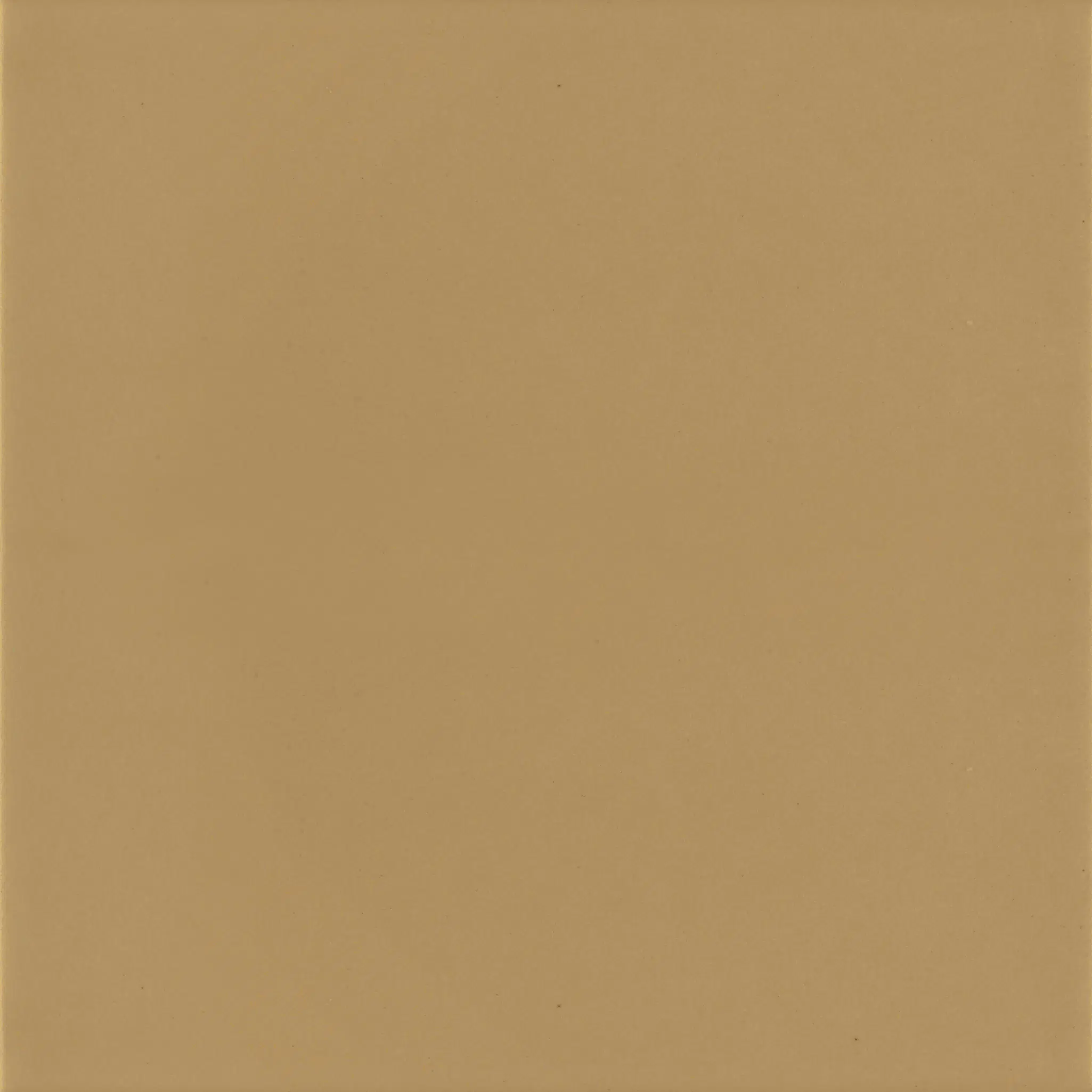 Pastelli Appiani_Pastelli_PST1013_Flat_10x10_Miele.jpg