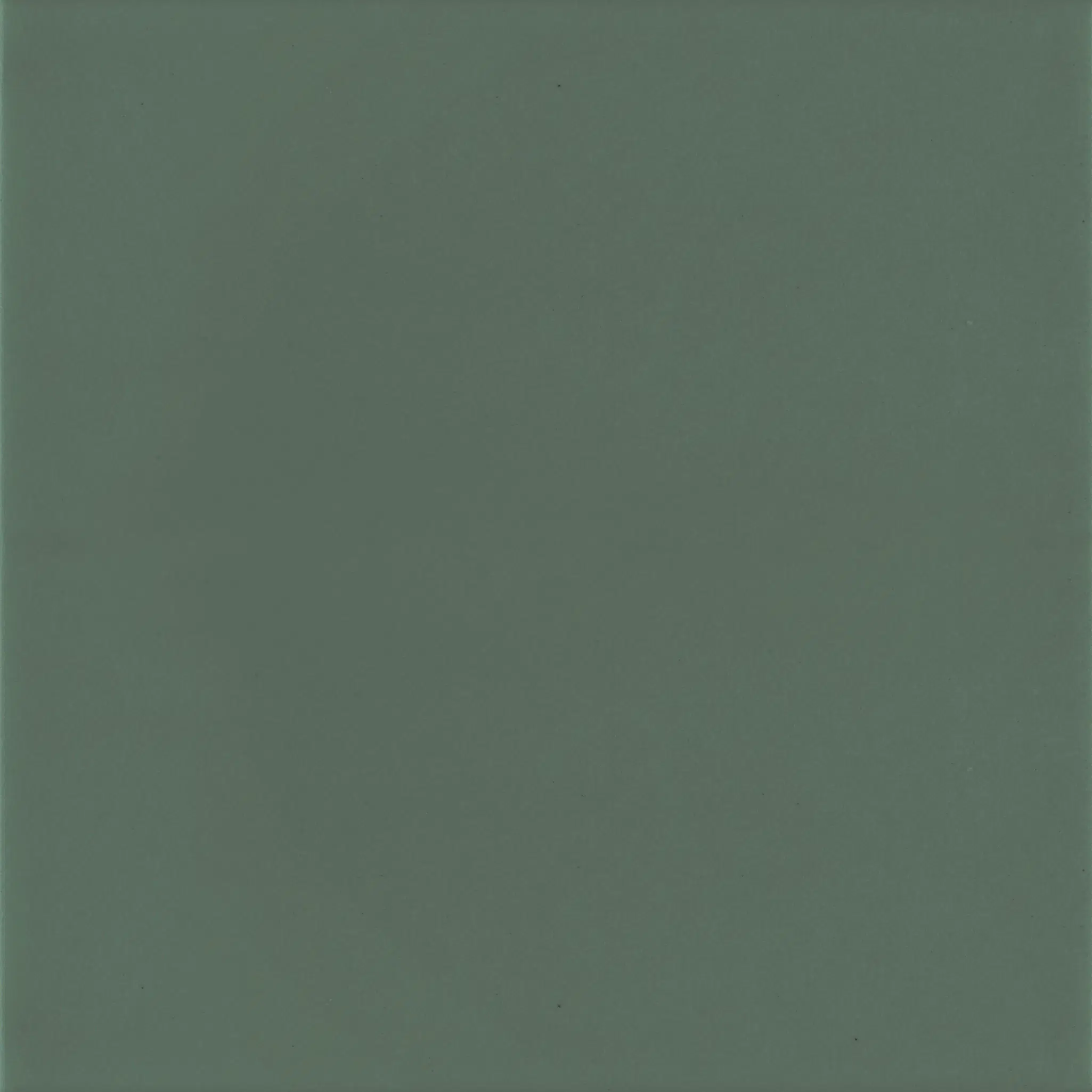 Pastelli Appiani_Pastelli_PST1014_Flat_10x10_Muschio.jpg