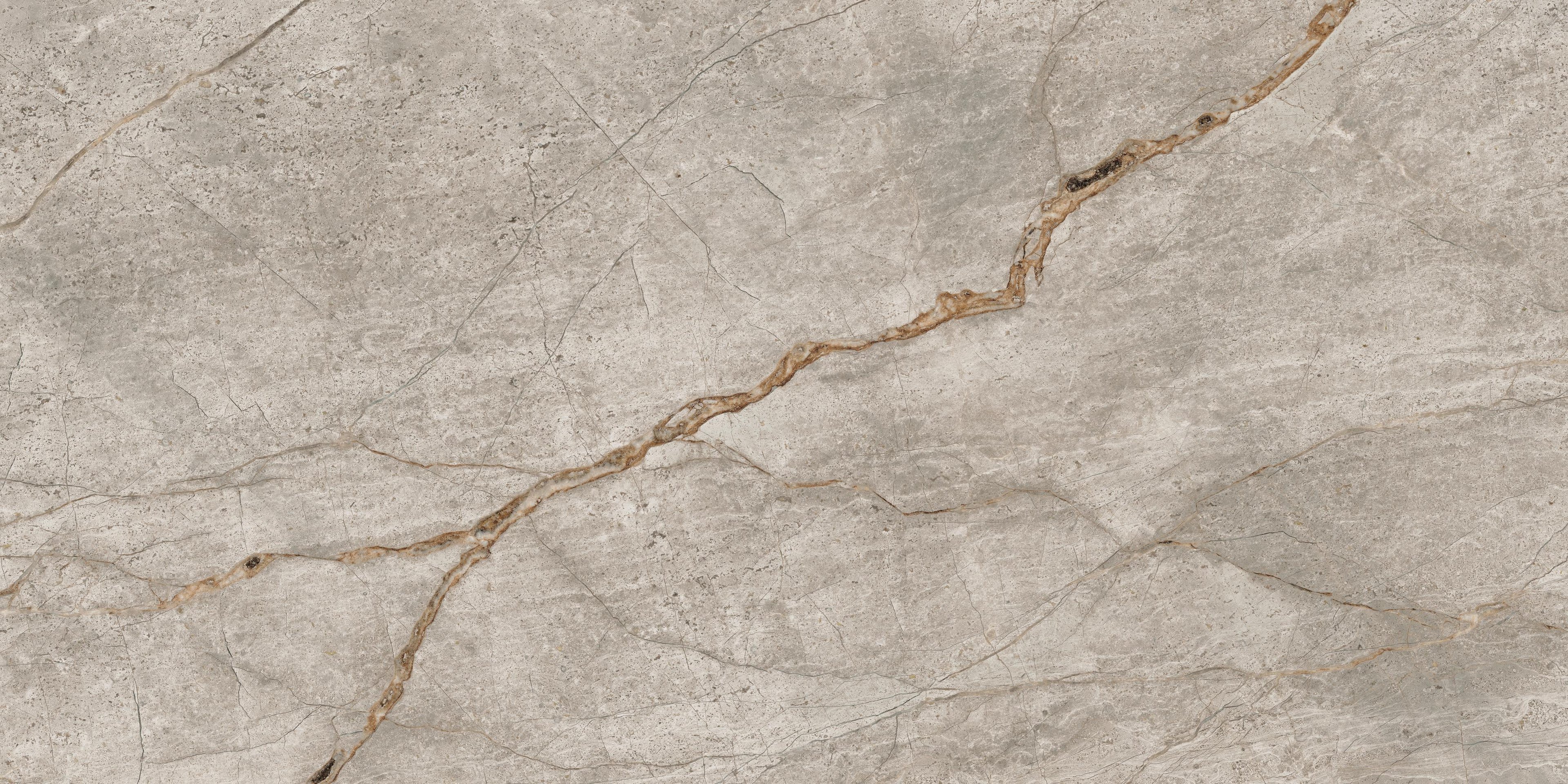 EMPIRE SILVER ROOT Rett 60x120 Lapp