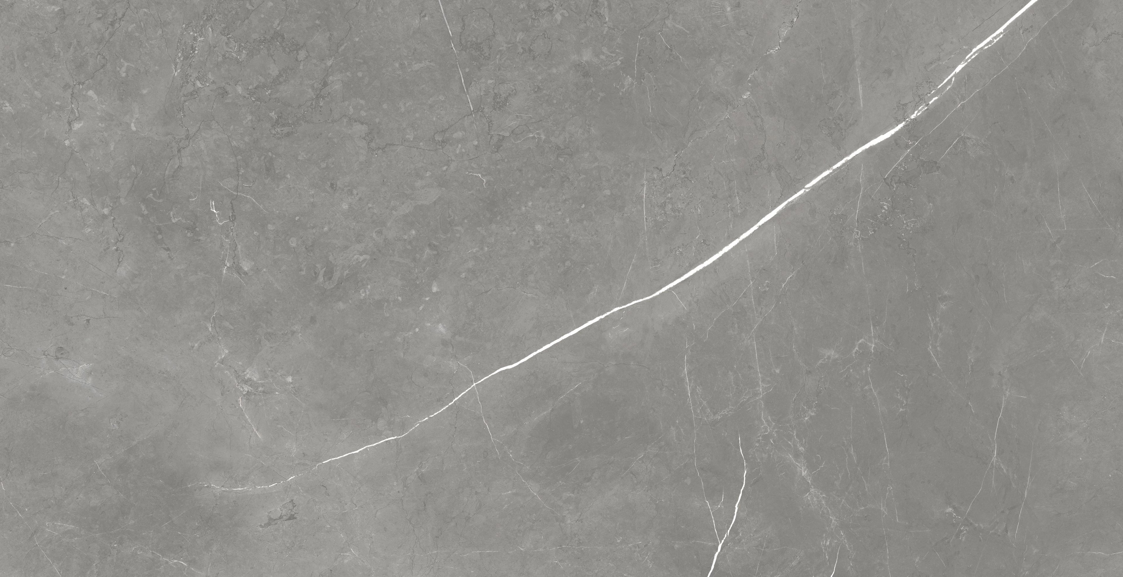 Forte dei Marmi Elegant Grey Rett 60x120 Cer