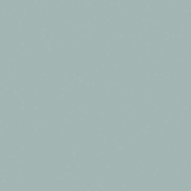 Fiordaliso 120×278 6мм Matt