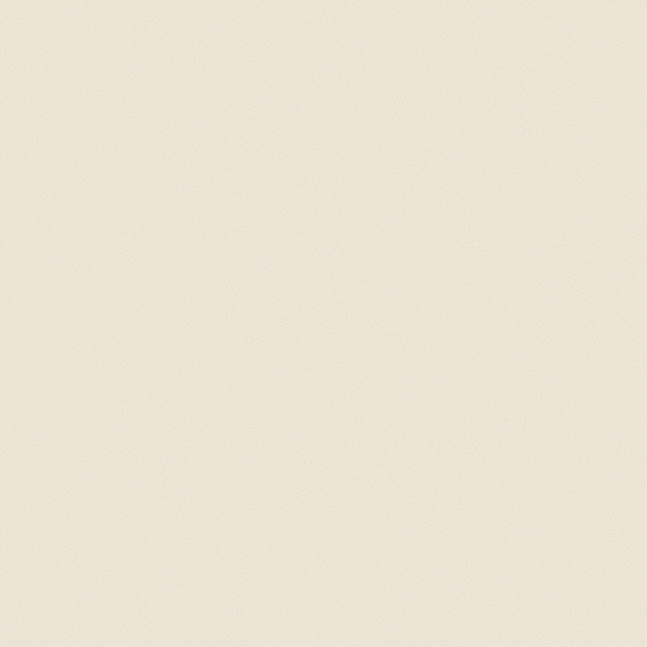 Texture Naturale Beige Matt