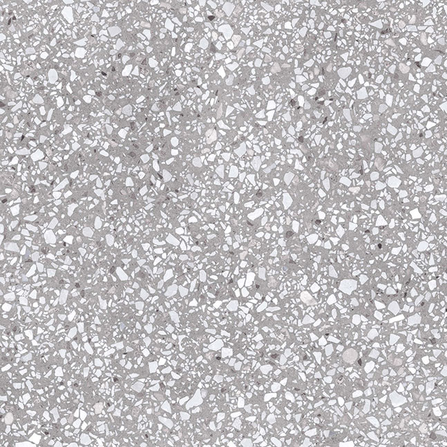 Valmarana 30×60 Natural R 10