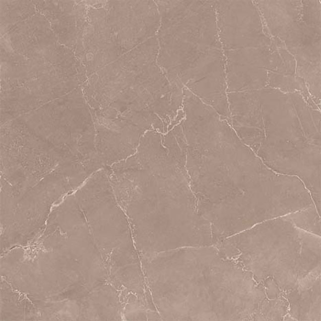 Pulpis Tortora 30×60 Lucida