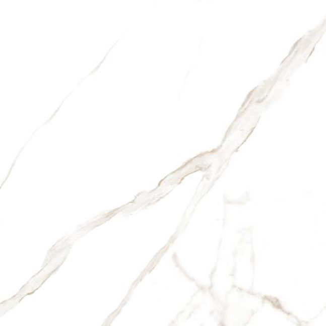 Statuario Oro 120×120 6мм Lucida