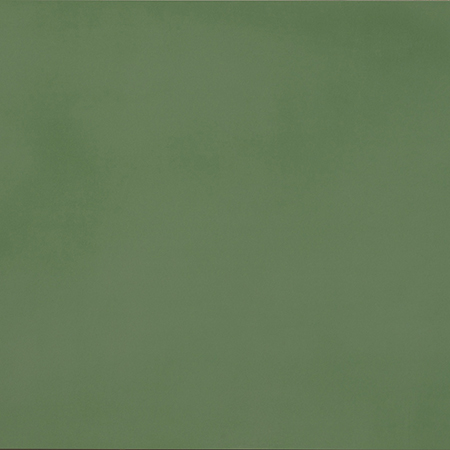 R- Evolution Green 30×60 Natural