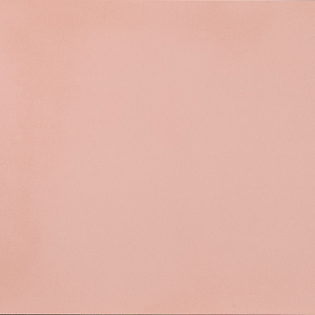 R- Evolution Light Pink 30×60 Natural