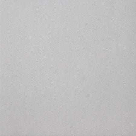 Spazio Argento 37.5×75.5 Natural R 10