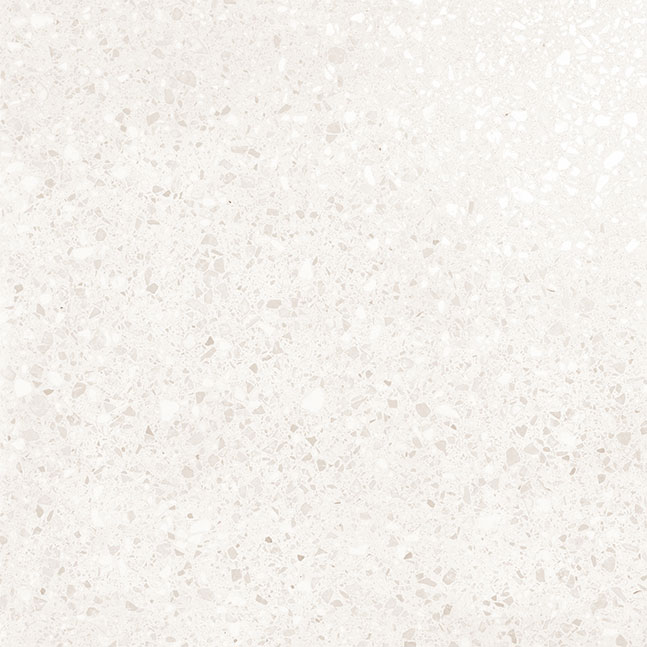Terrazzo White 60×60 Lappata