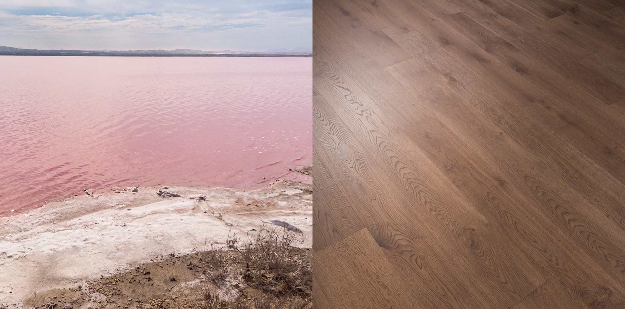 Lake Elton