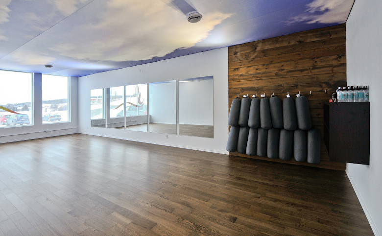 Fitness board