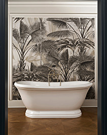 Aurora Bathtub