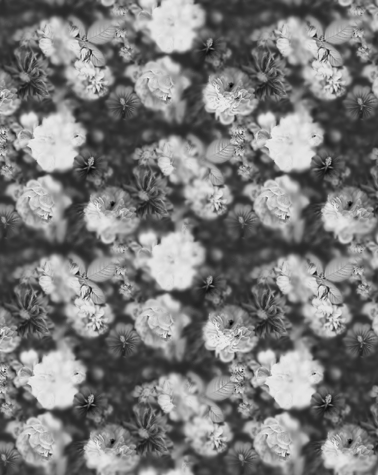 Blossom в интерьере