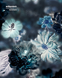 Blossom Inverted Wallpaper