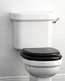 Blues Closed coupled cistern