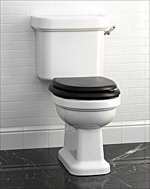 Blues WC pan
