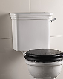 Etoile Close coupled cistern