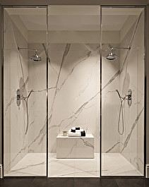 Loft Walk-in shower door