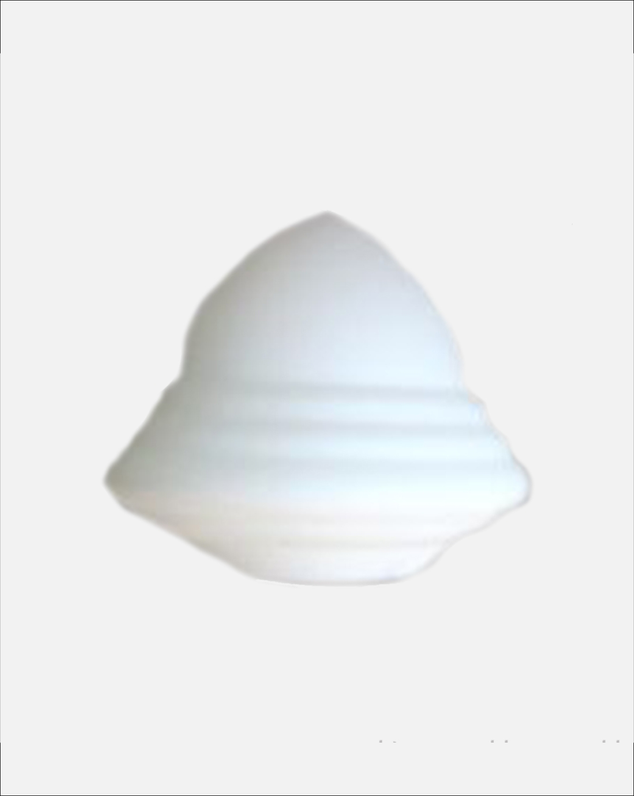 Neptune lampshade