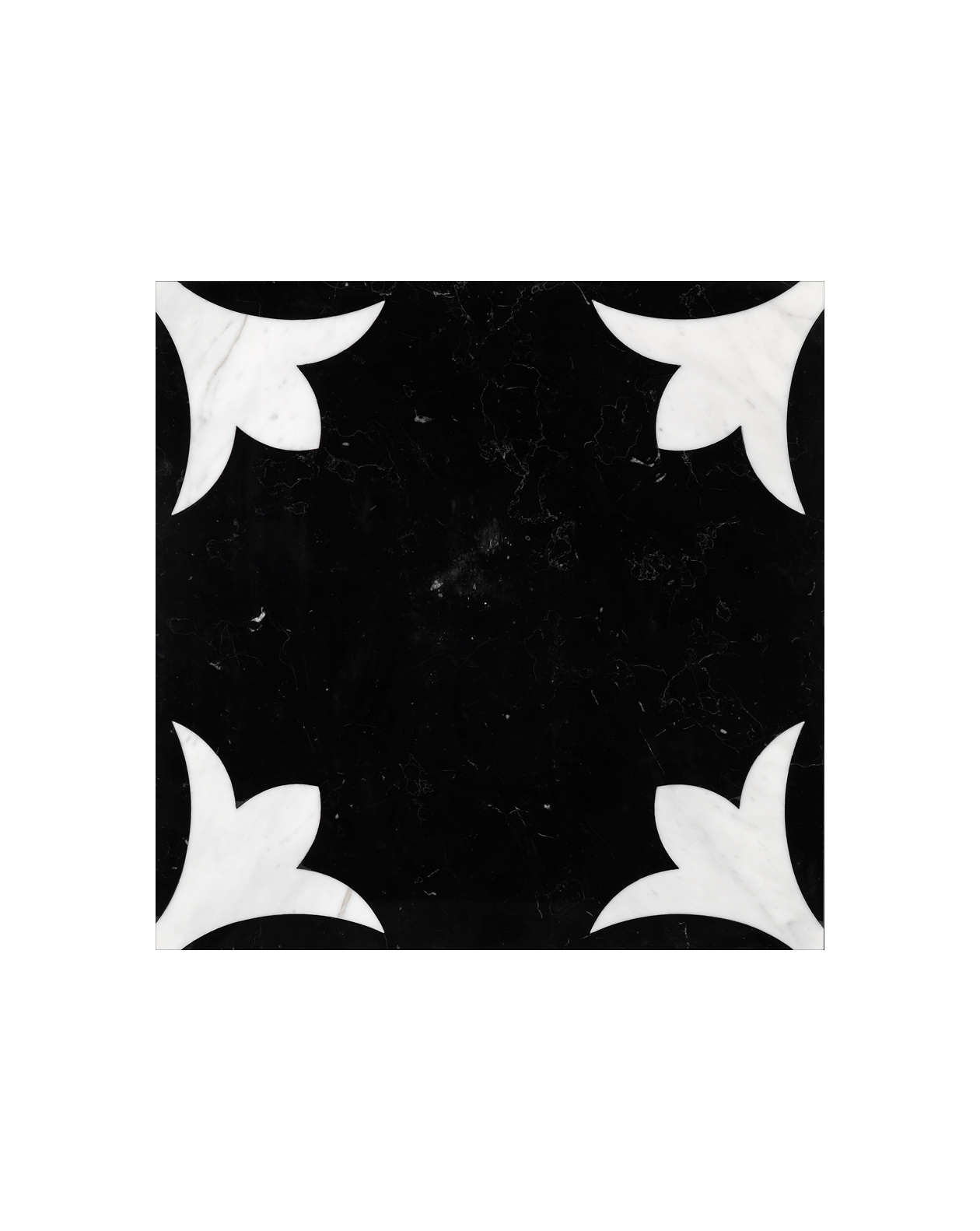 Prestige 6 20x20