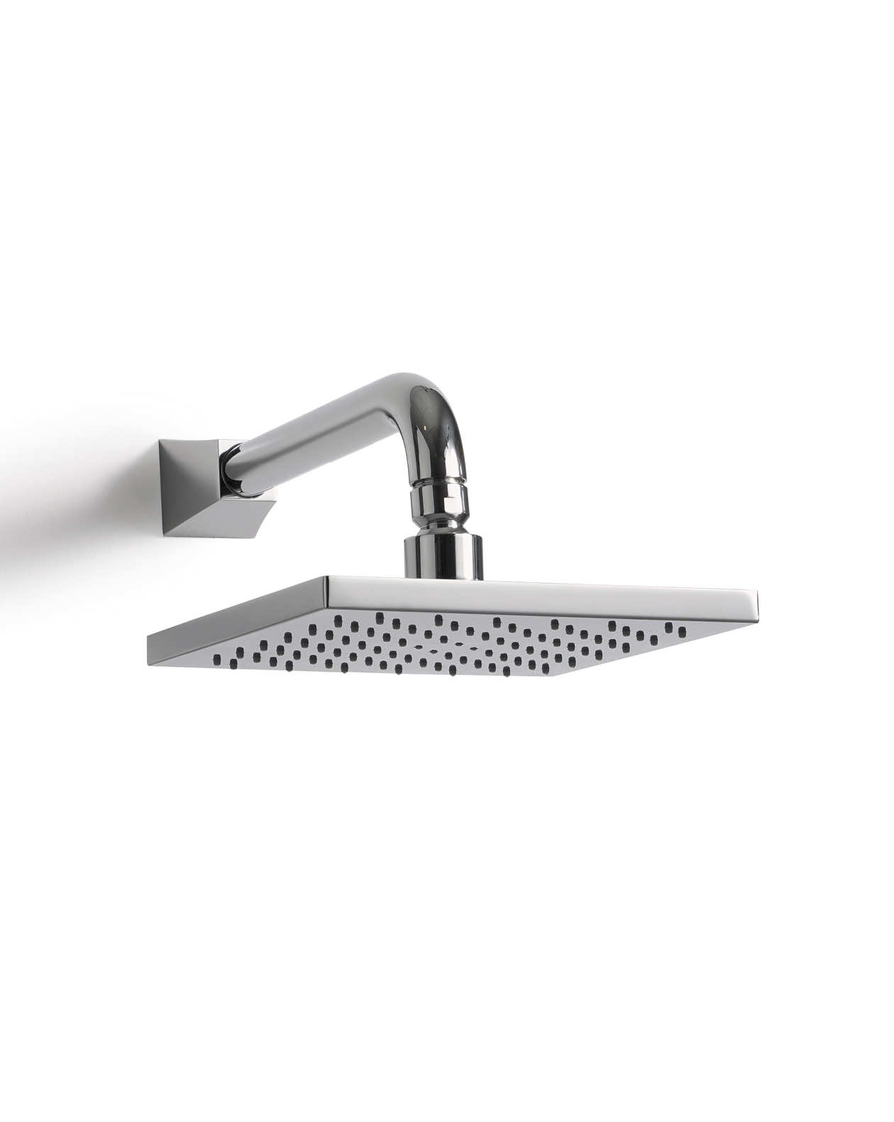 Time Shower rose and arm