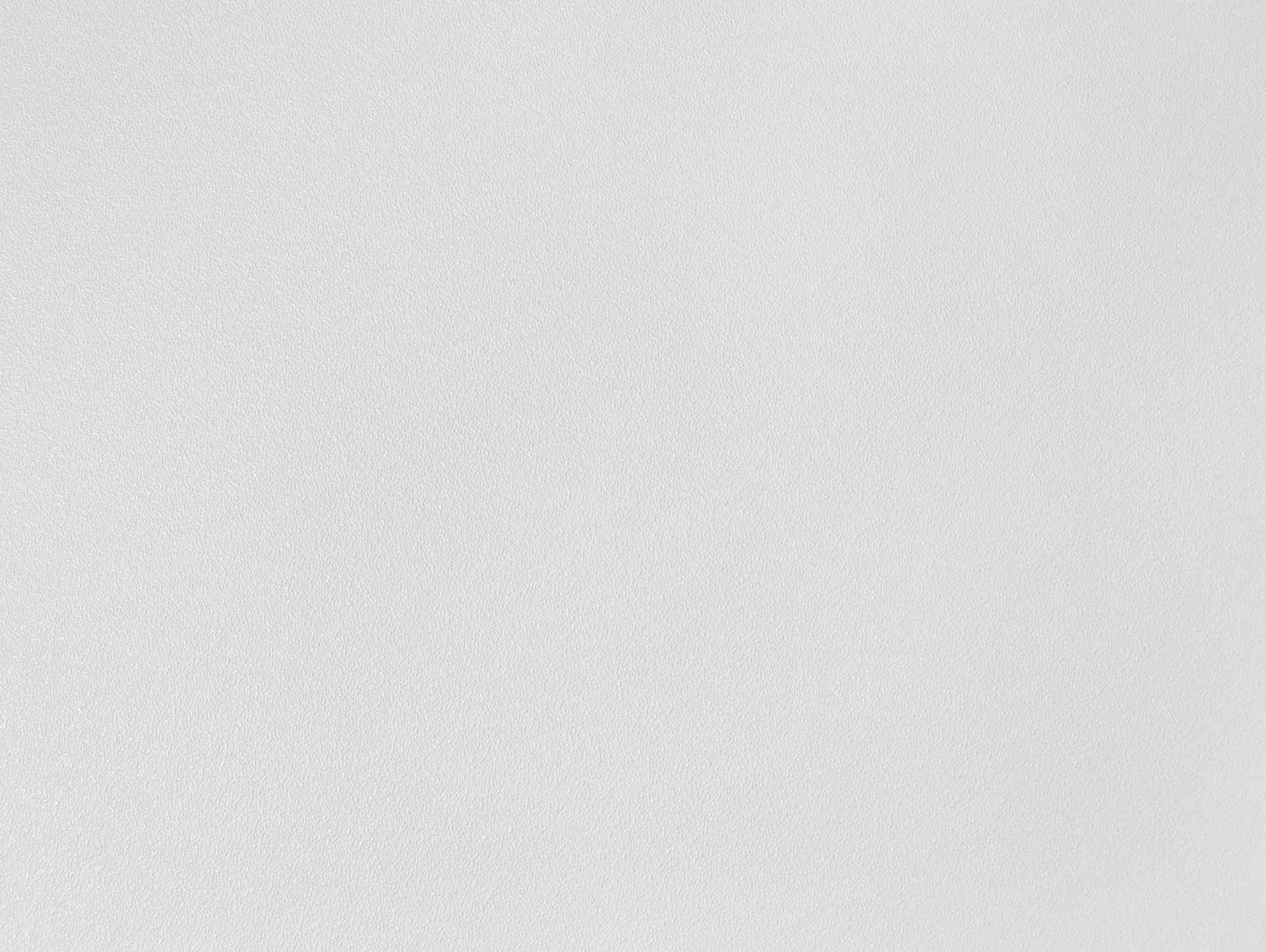 Rosa E502408