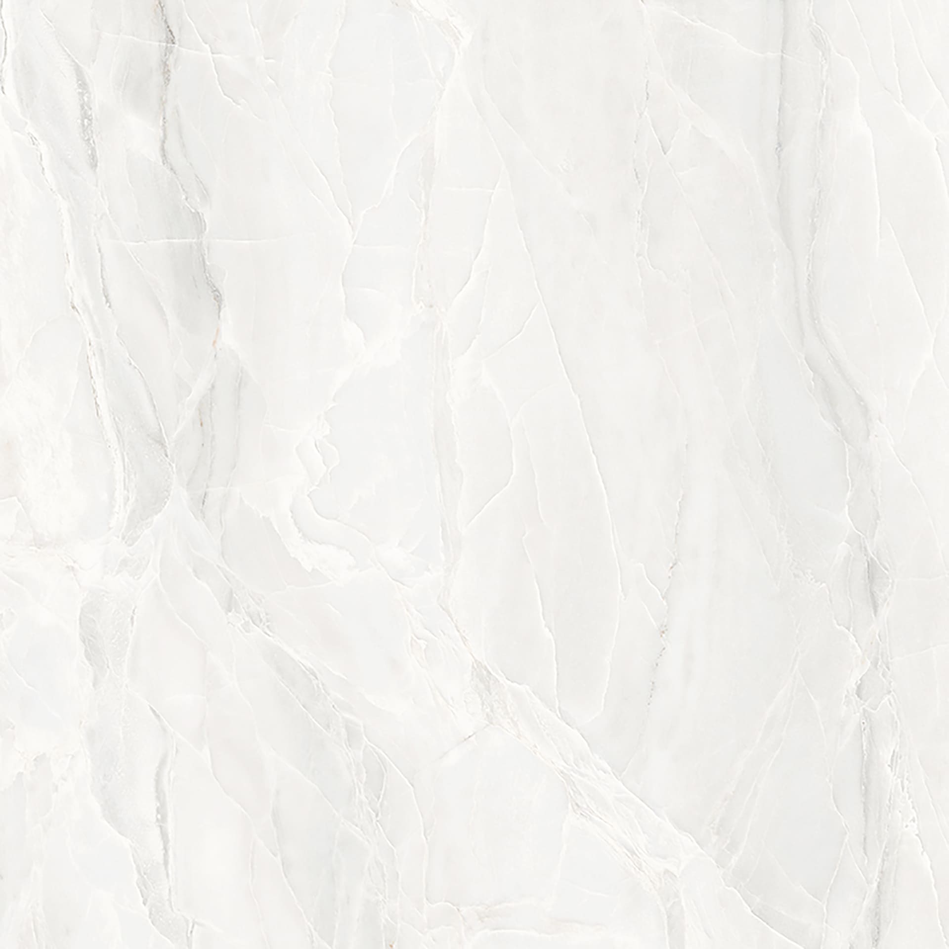 White Paradise