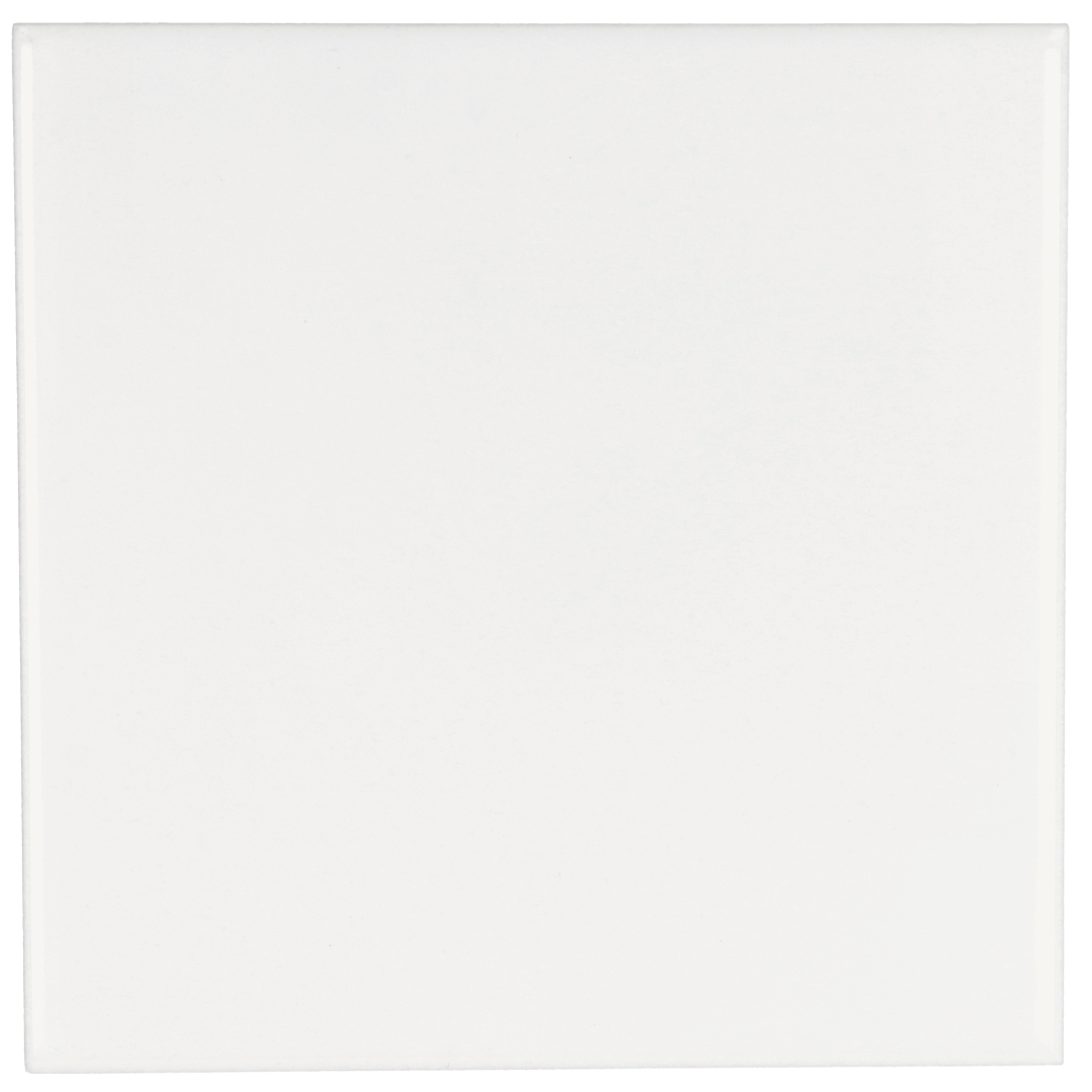 Evolution Blanco