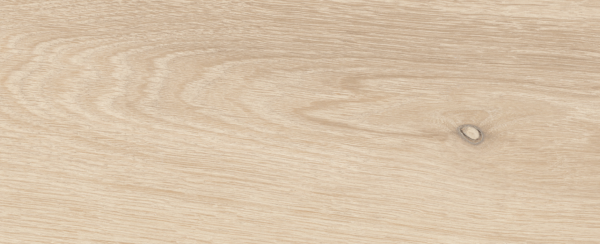 Rovere Pallido