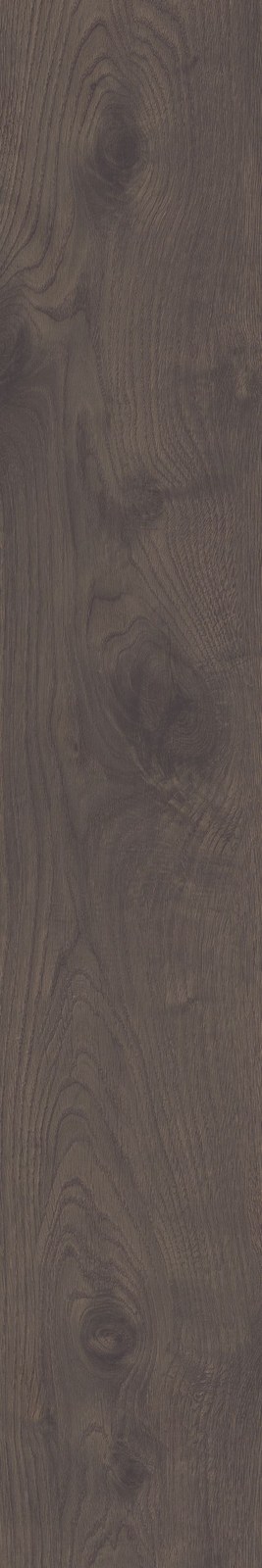 Селекшн 19.4×120 SI04