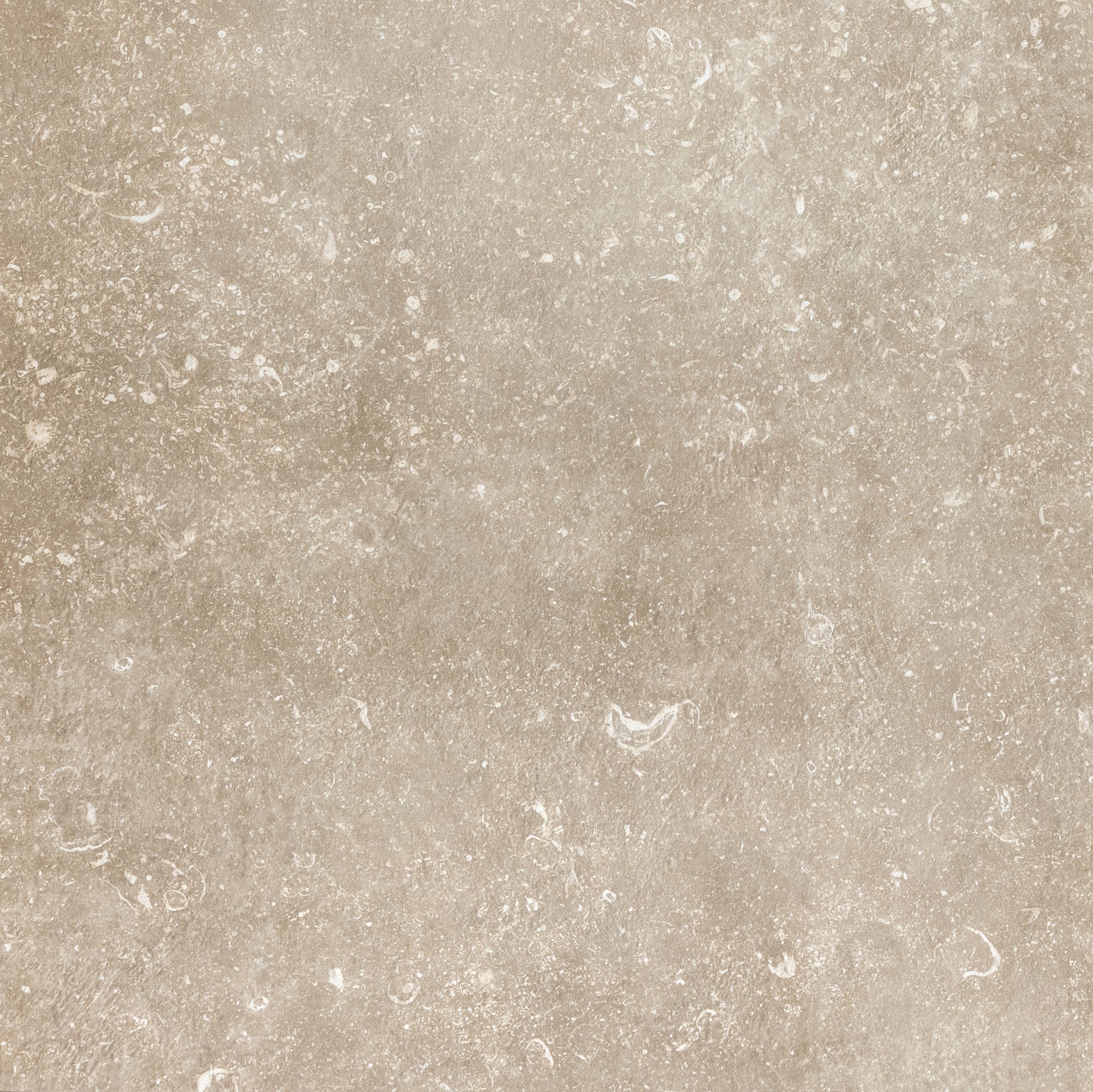 Aurore 80x80