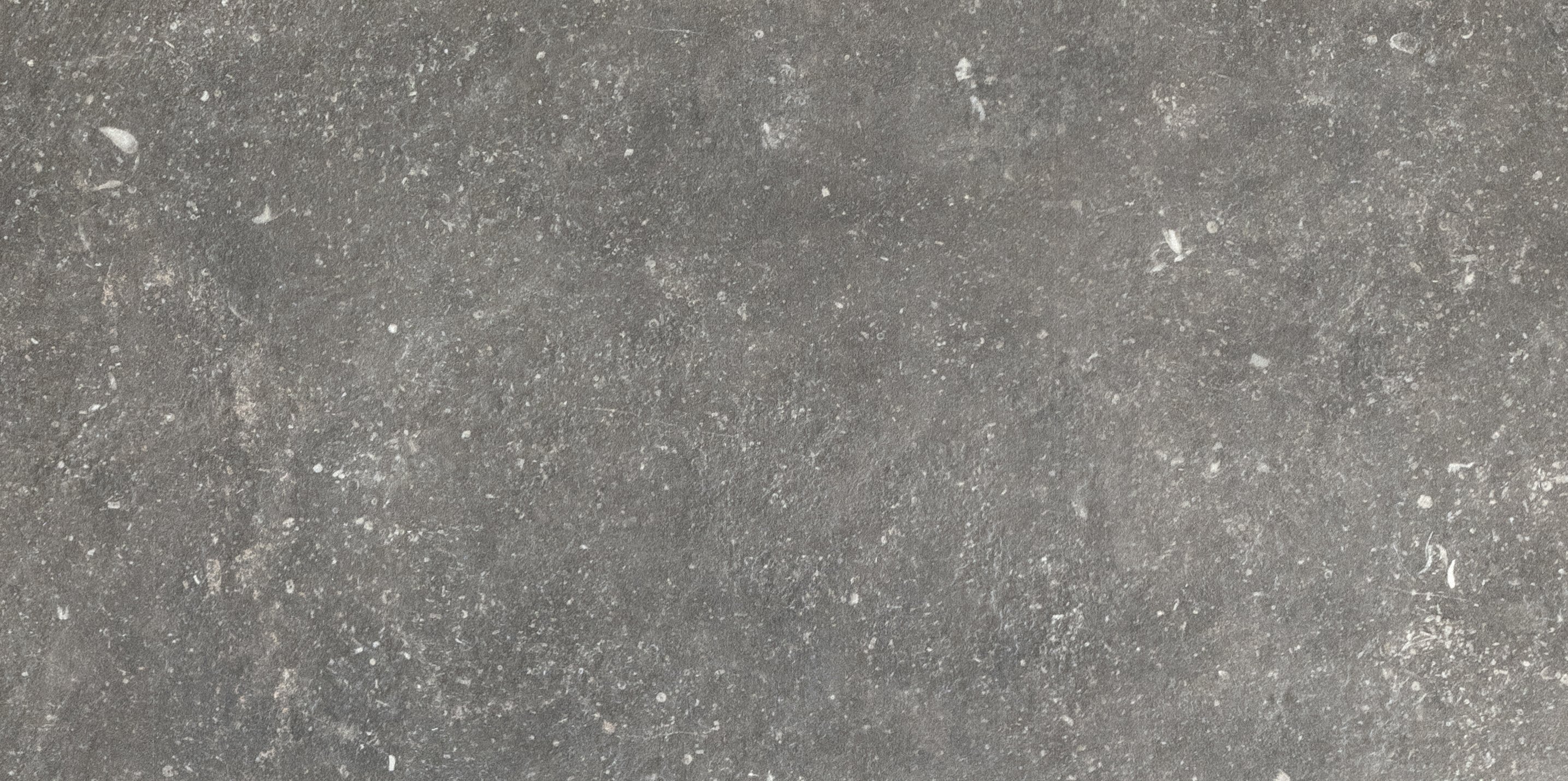 Charme 30x60