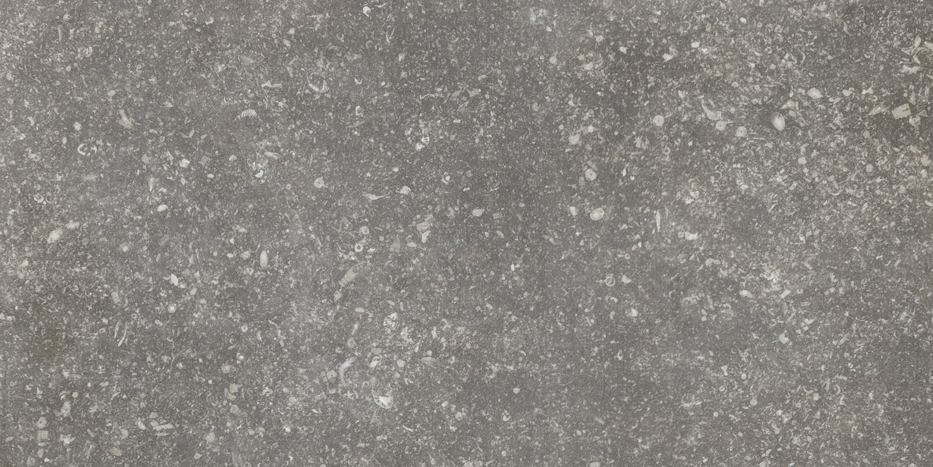 Charme 30x60