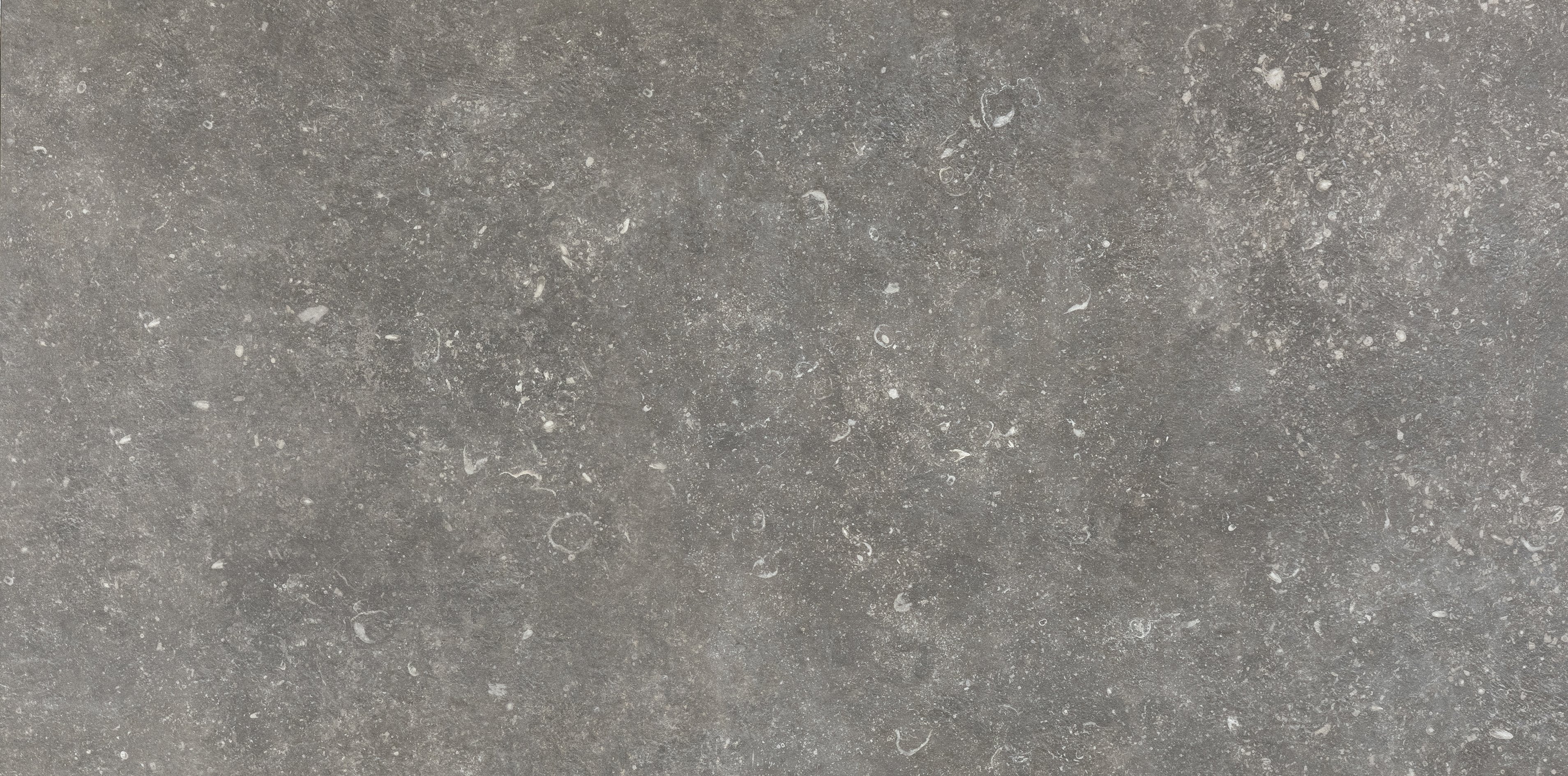 Charme 60x120