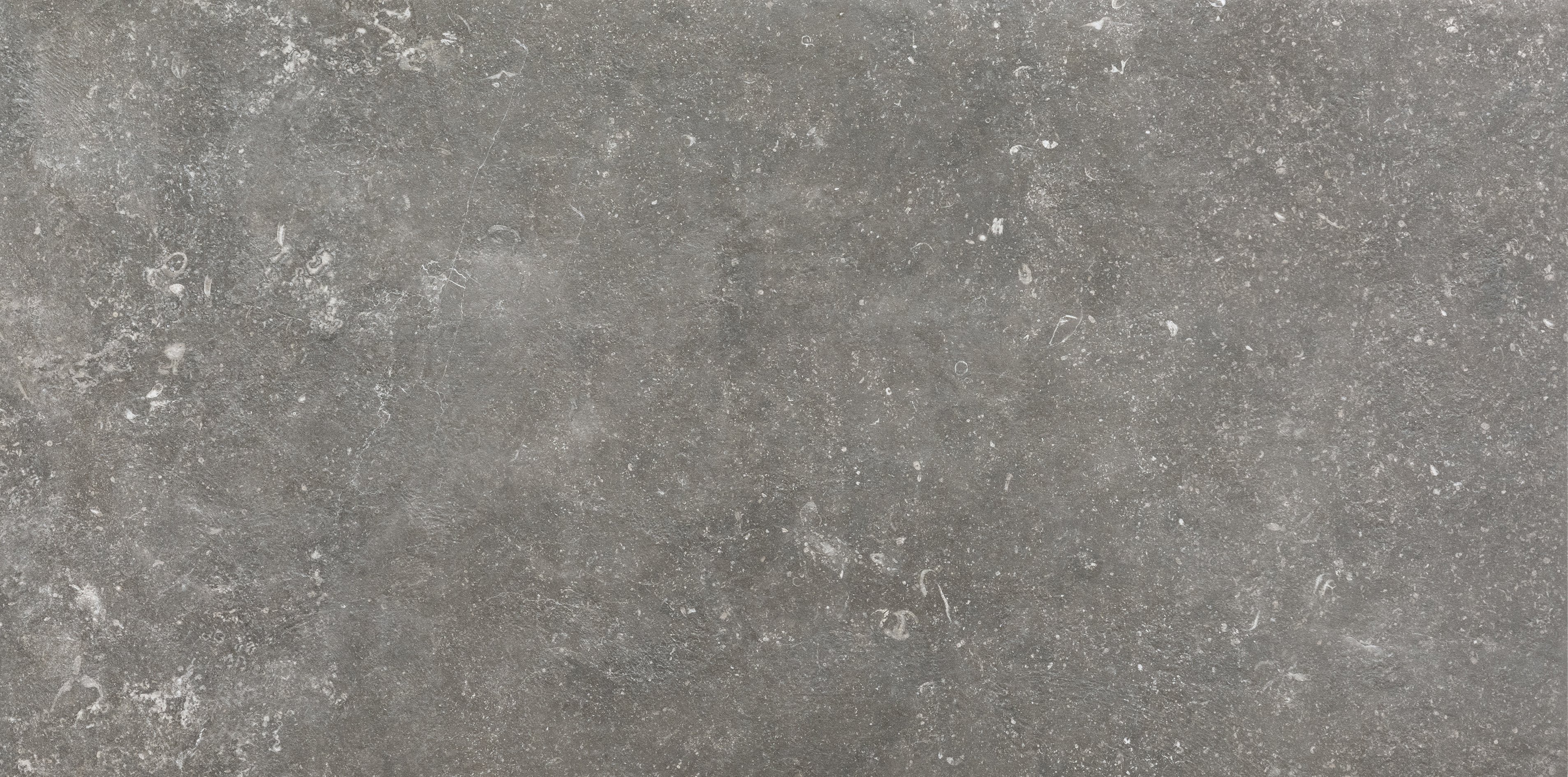 Charme 60x120