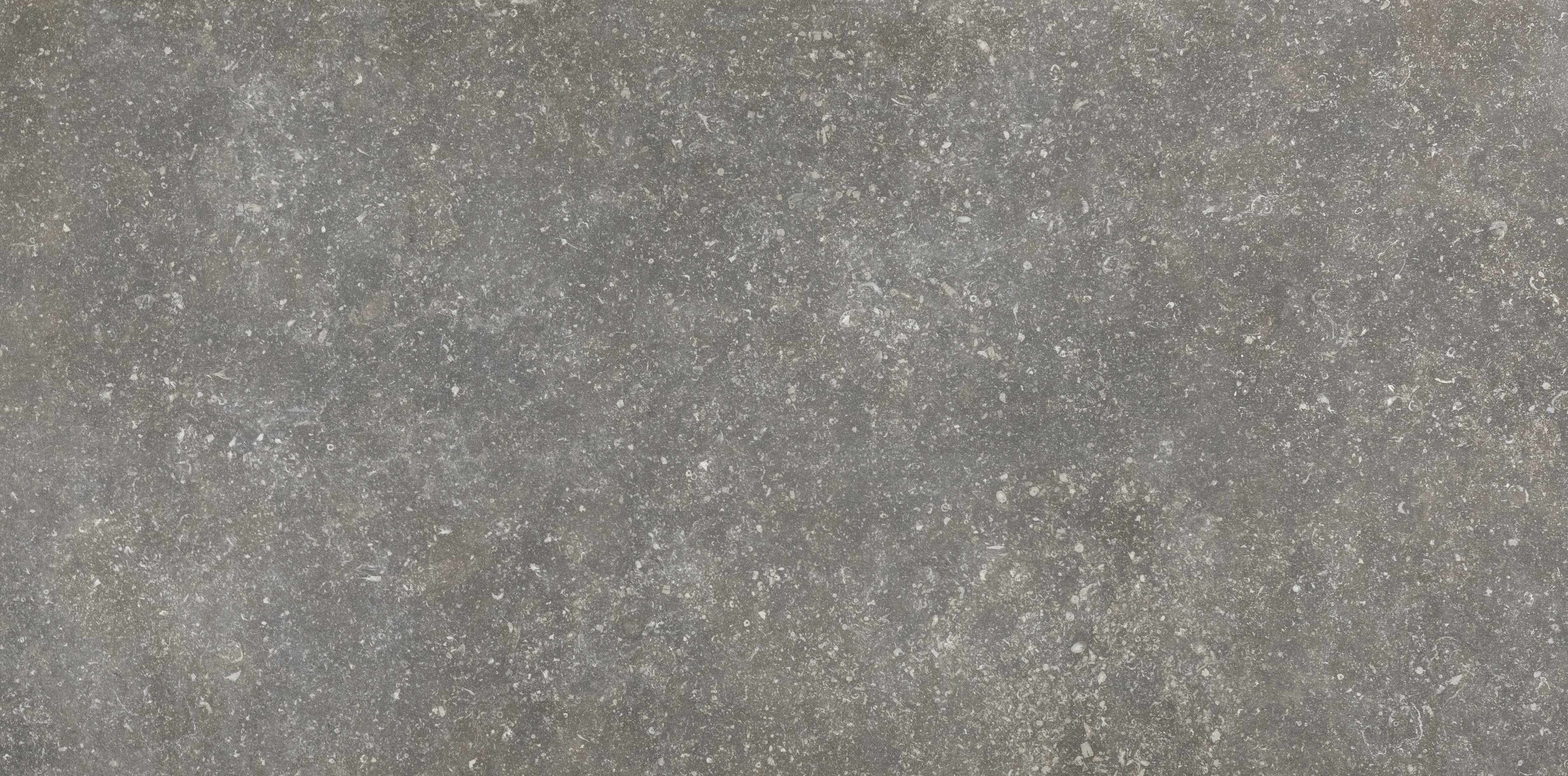 Charme 60x120