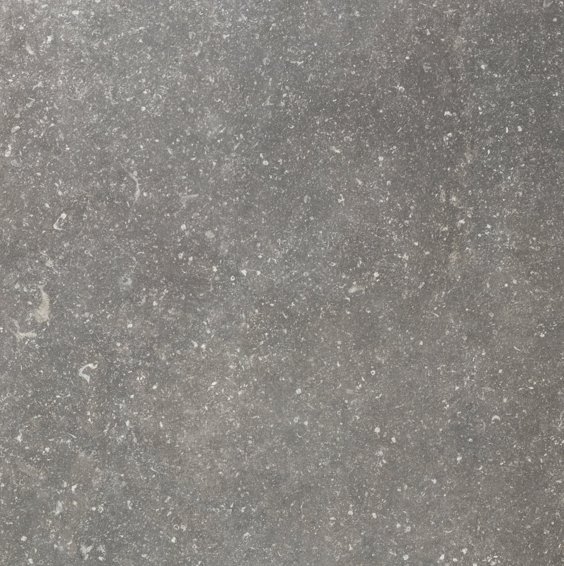 Charme 60x60