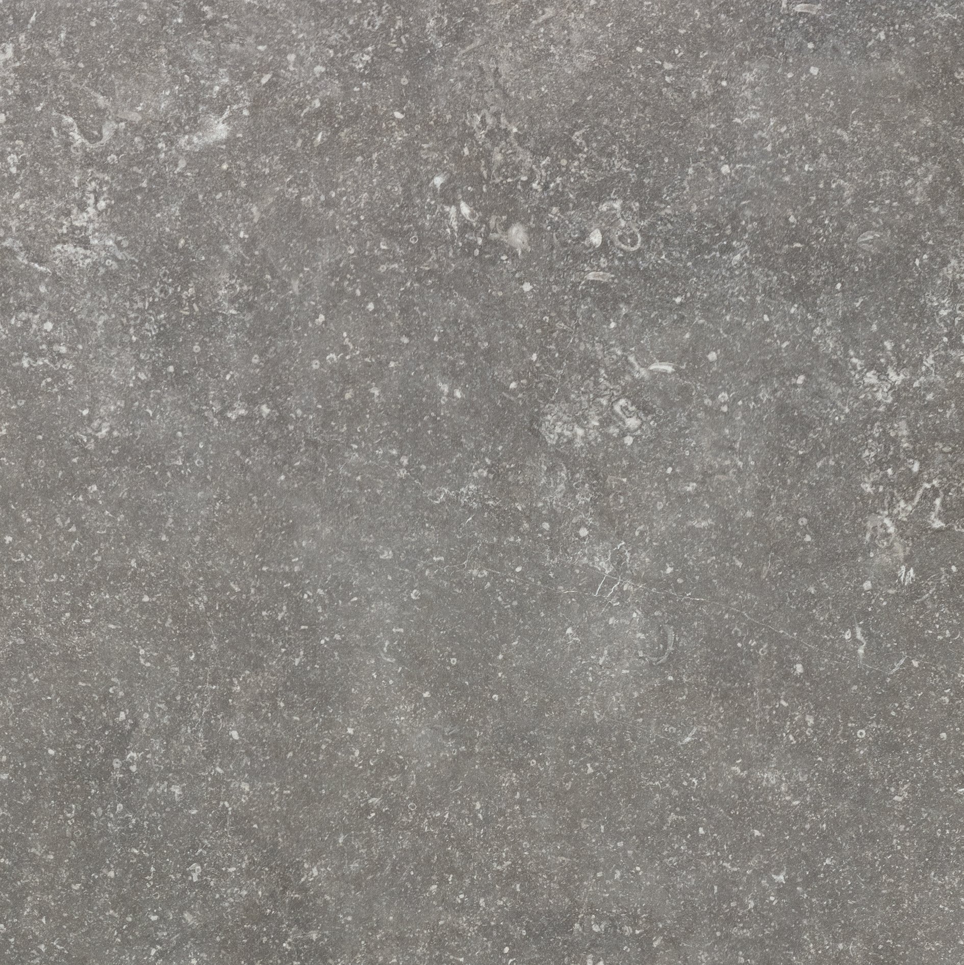 Charme 80x80