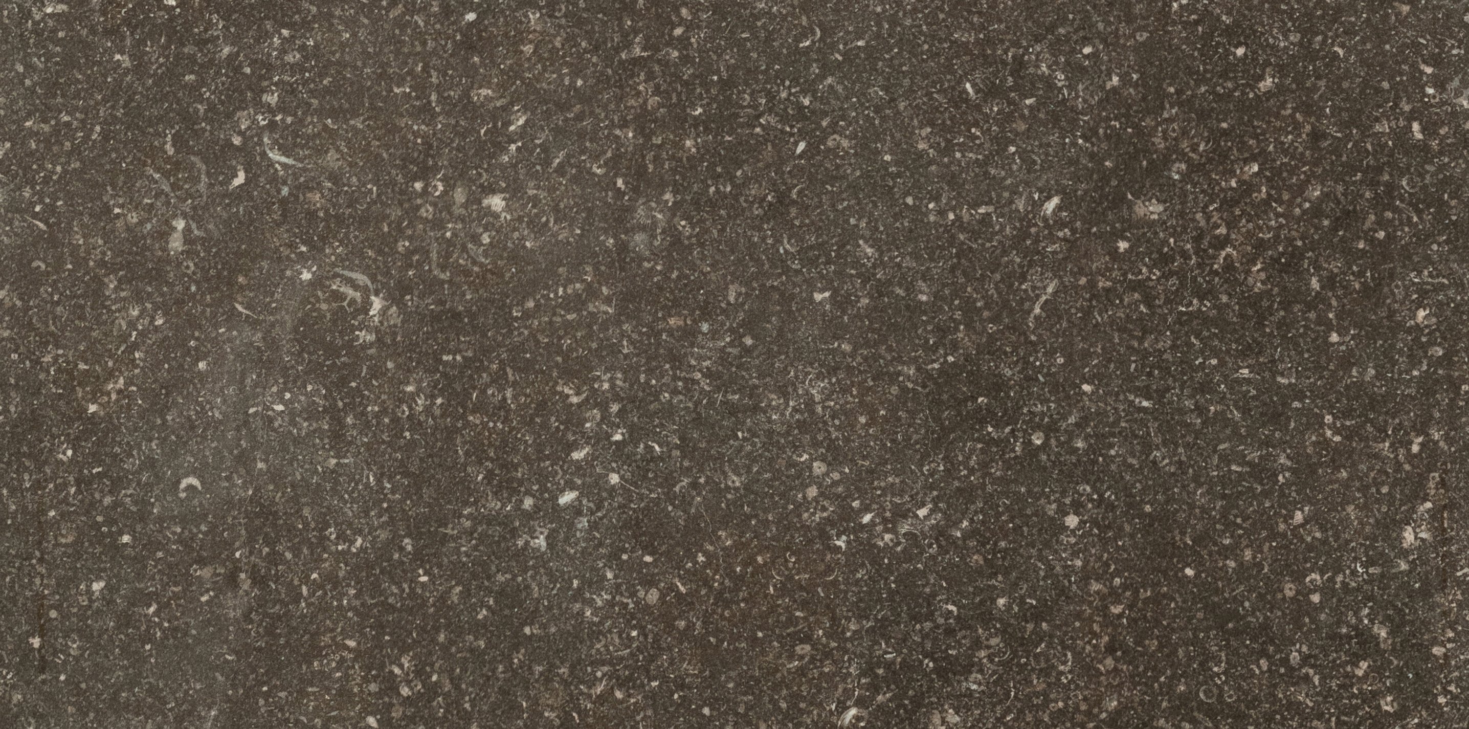 Désir 30x60