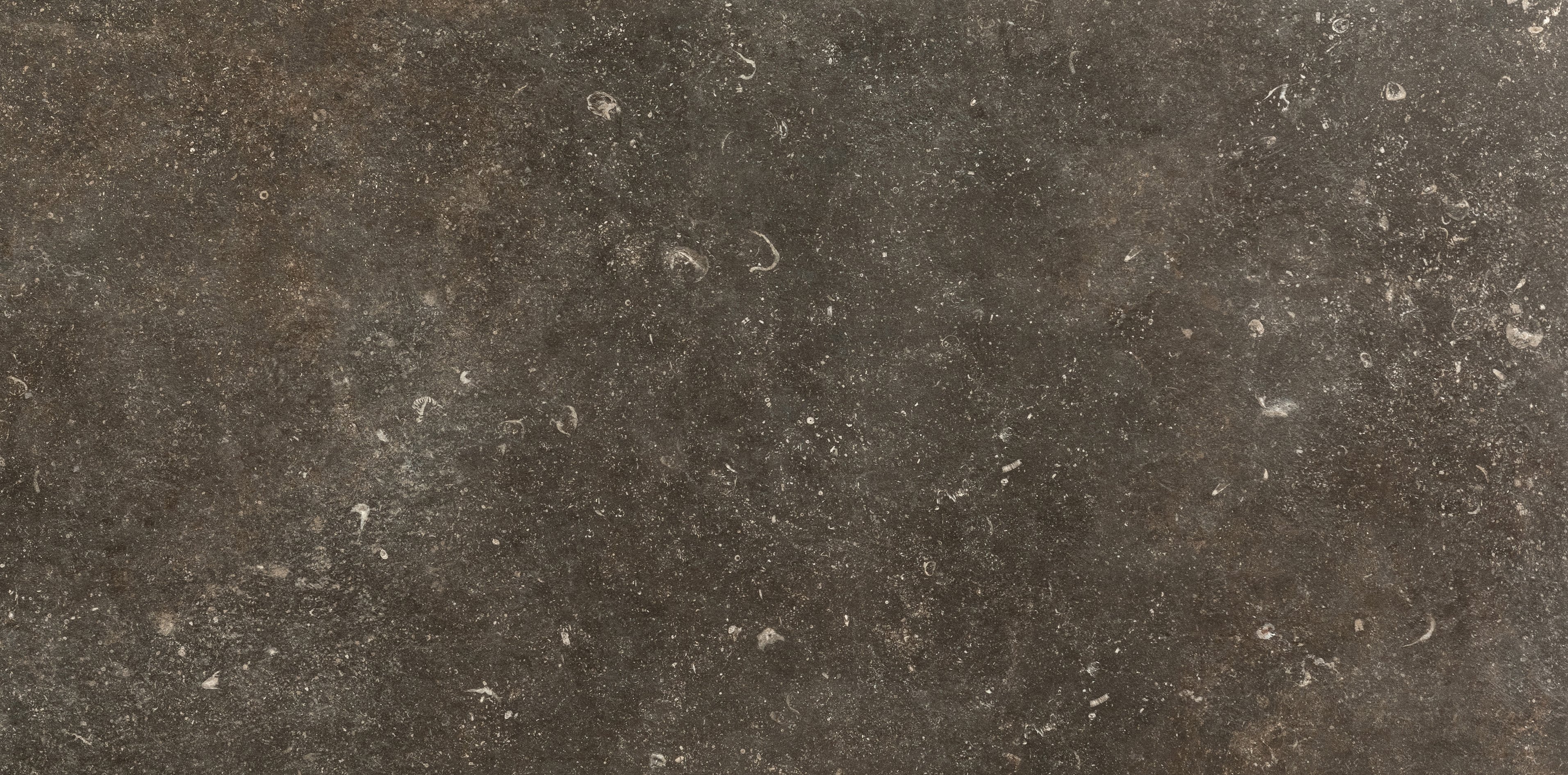 Désir 60x120