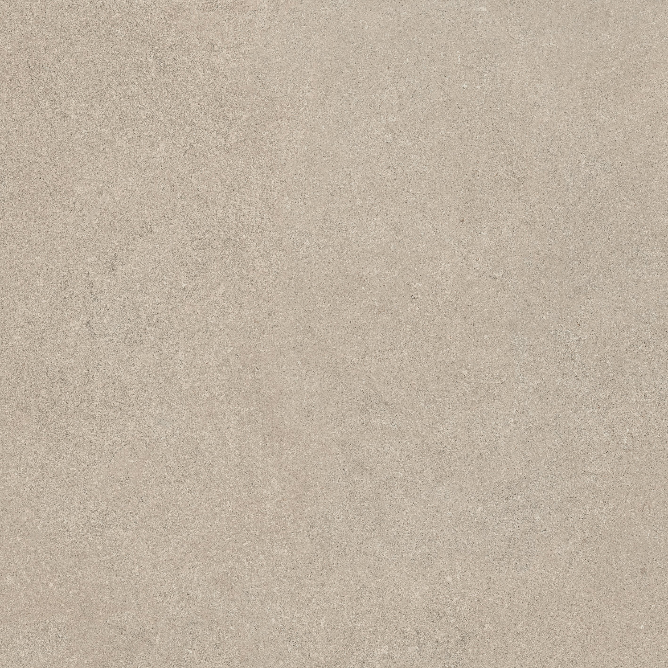 Stone Chablis 120x120