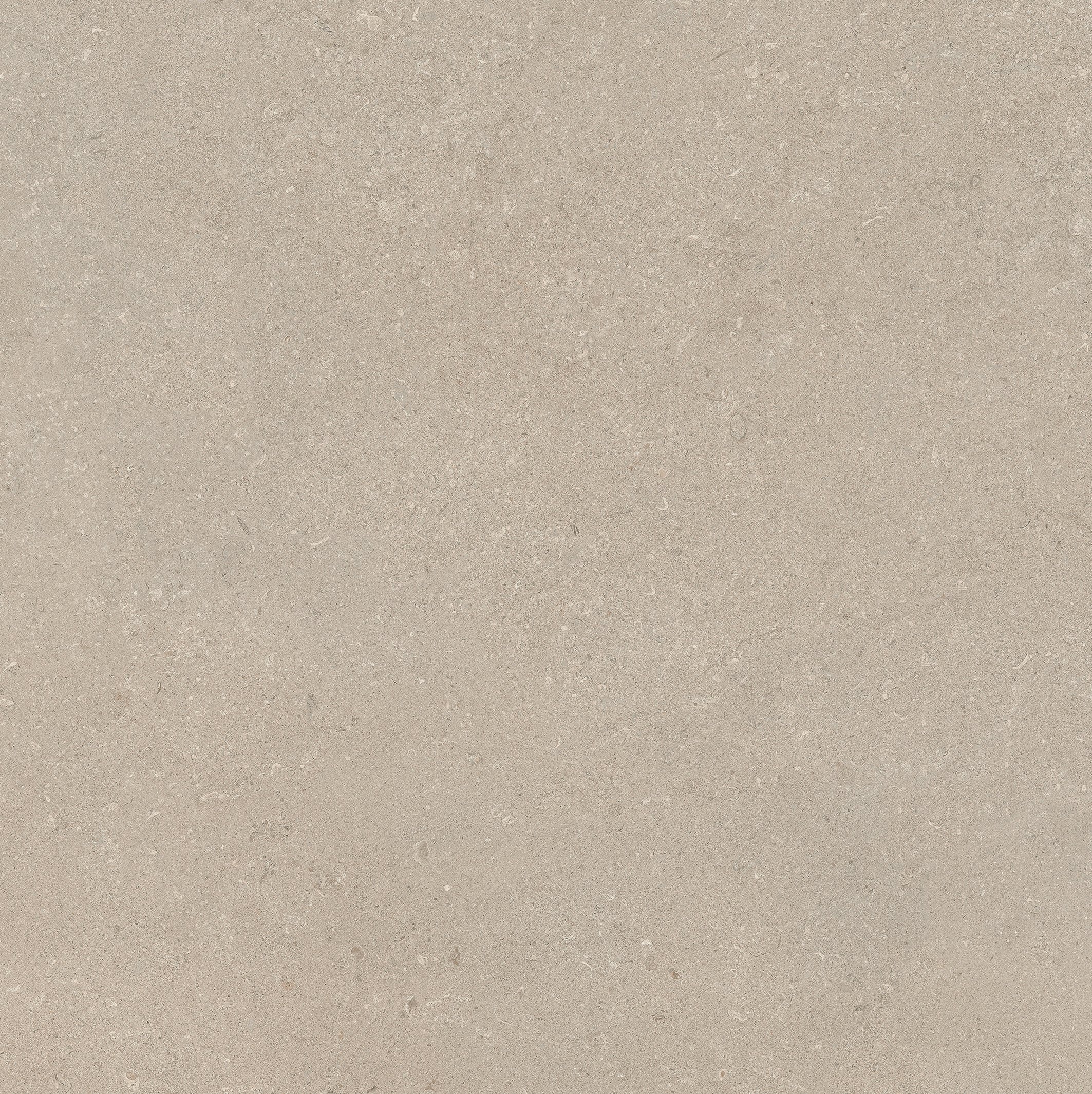 Stone Chablis 120x120