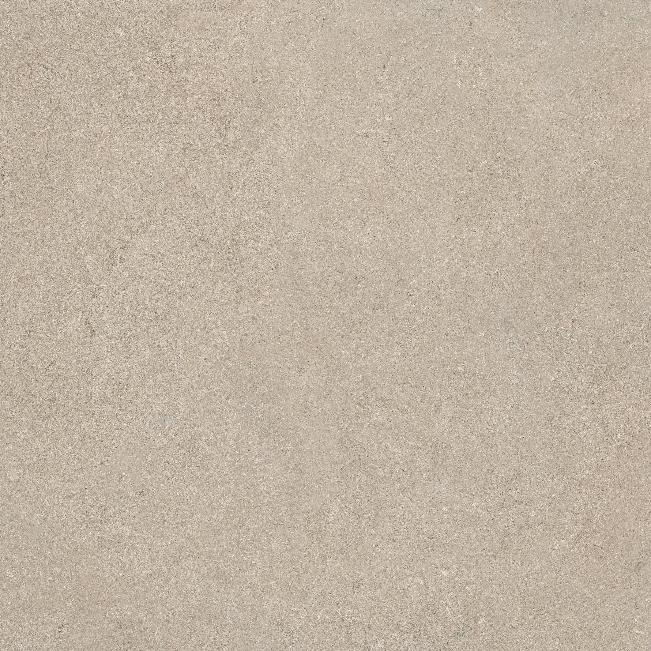 Stone Chablis 120x120