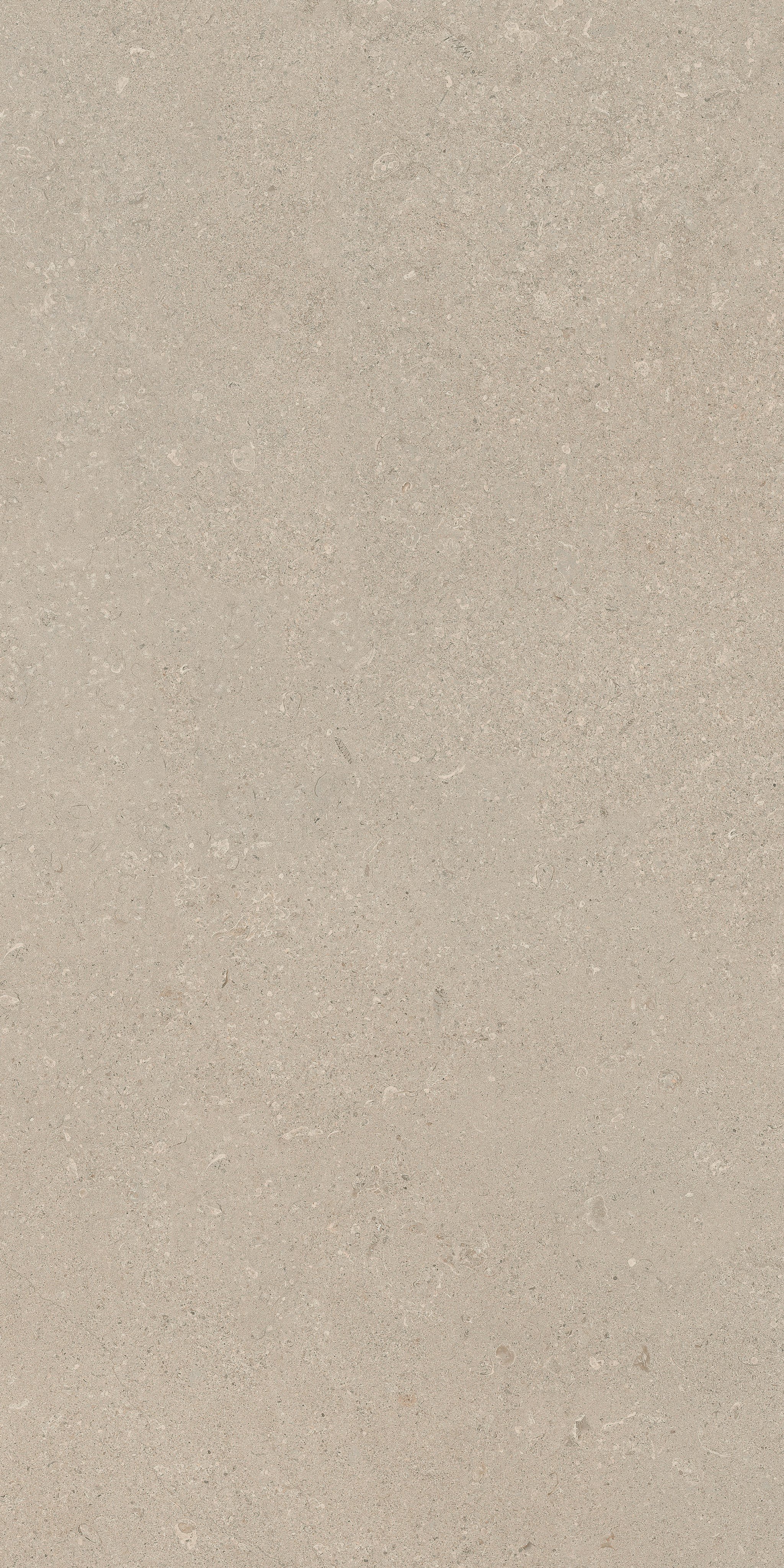 Stone Chablis 60x120