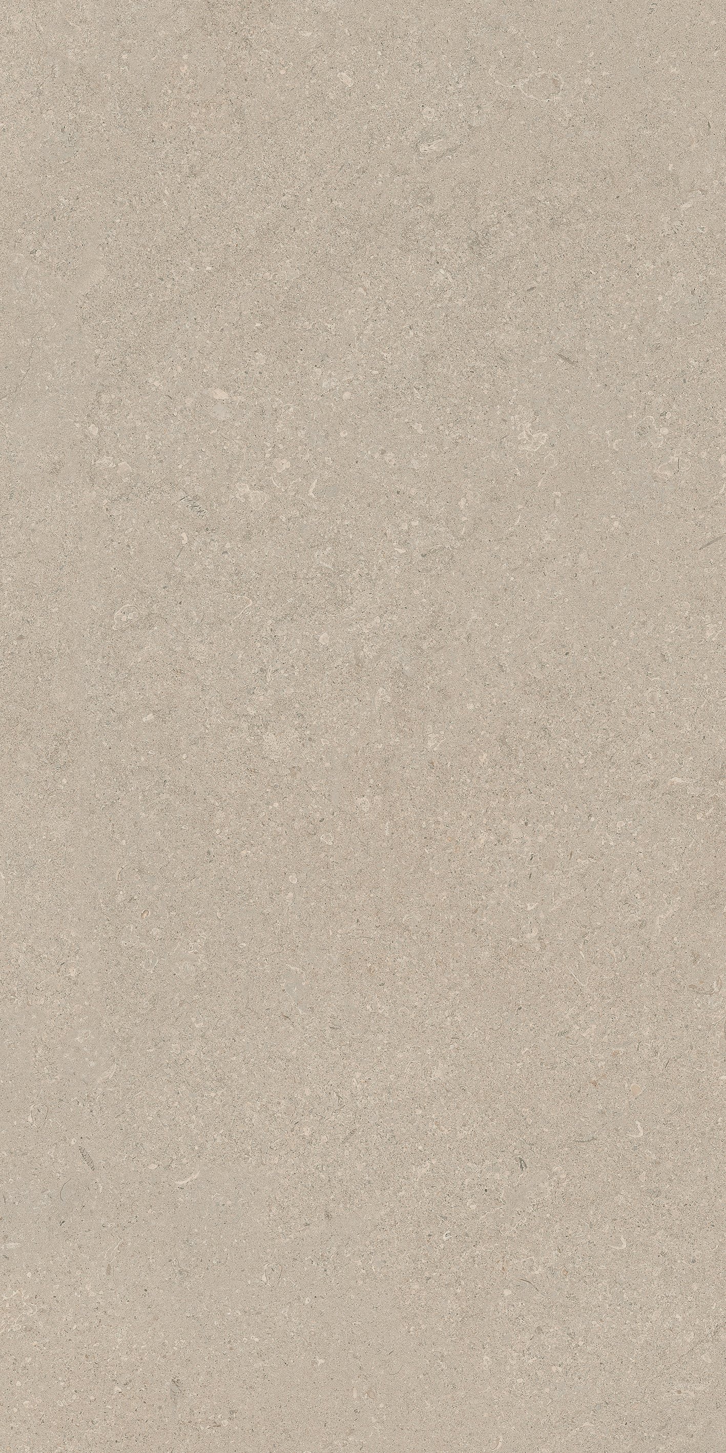 Stone Chablis 60x120