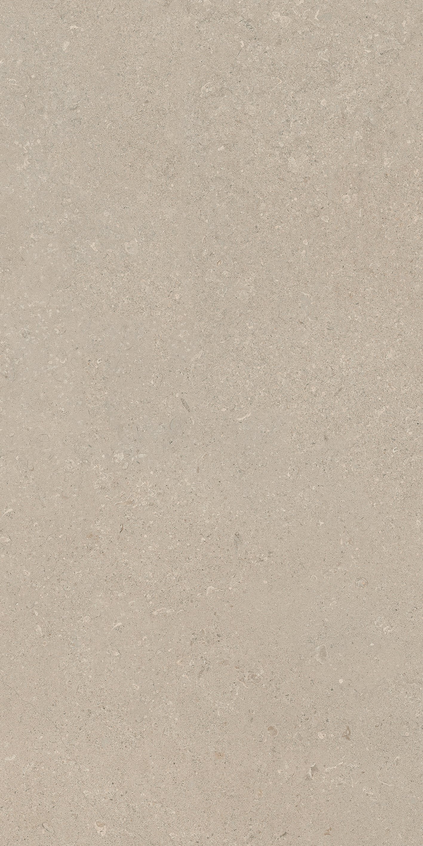 Stone Chablis 60x120