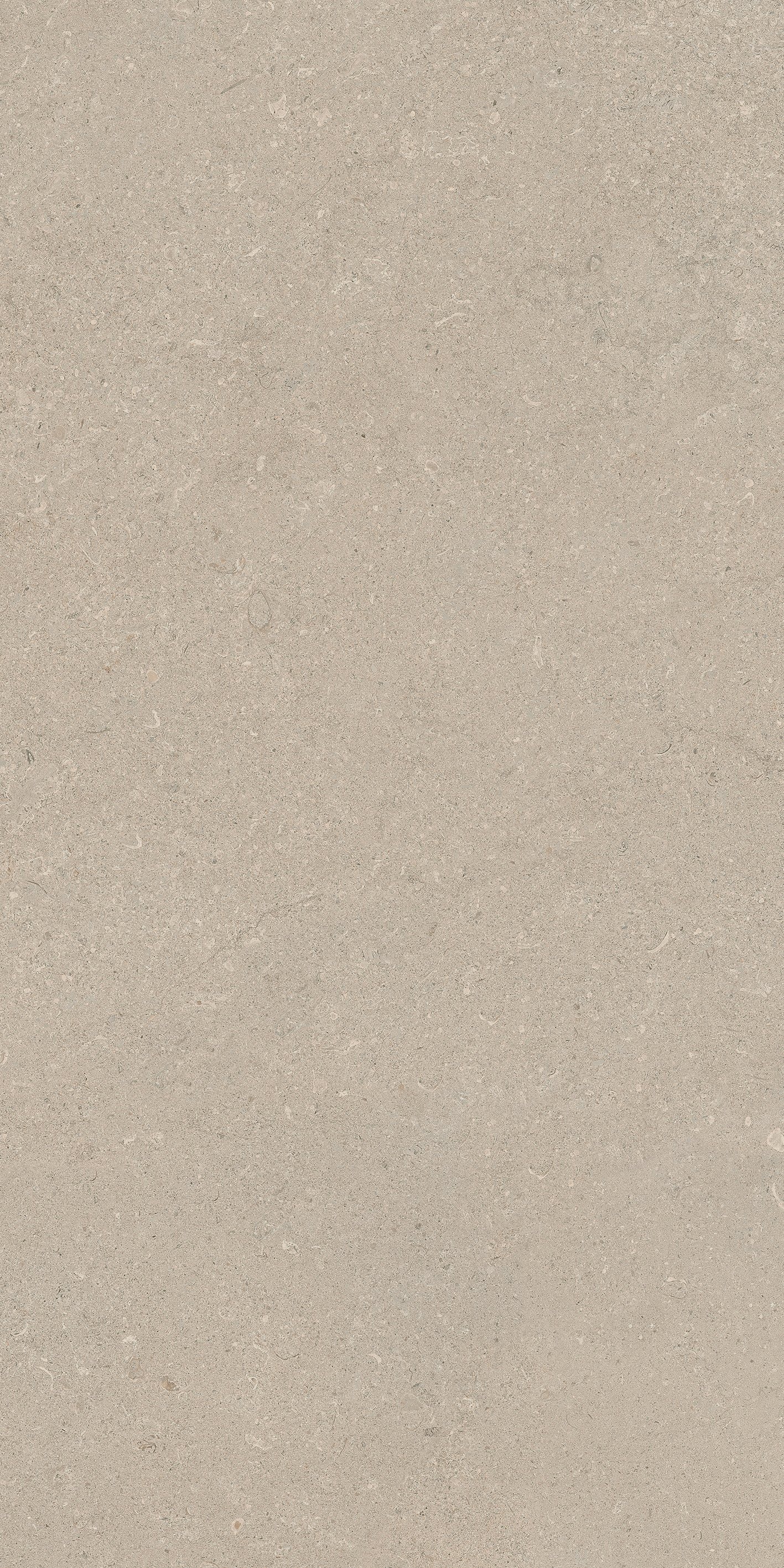 Stone Chablis 60x120
