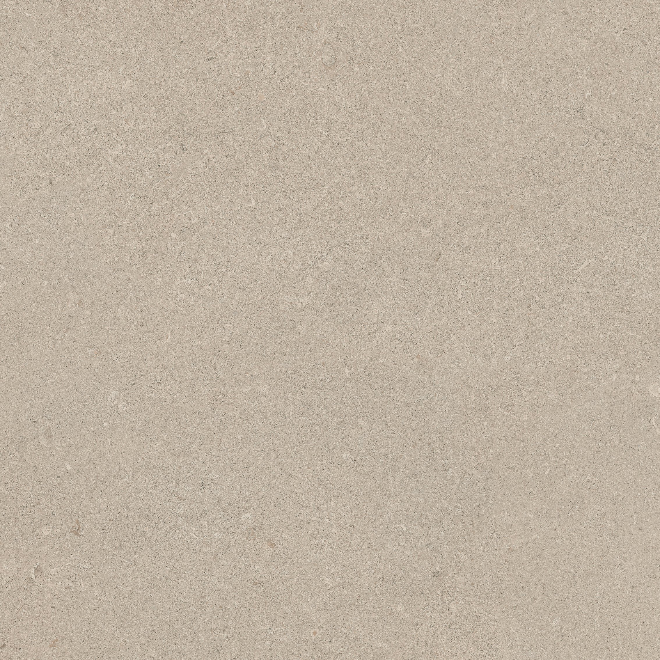 Stone Chablis 80x80